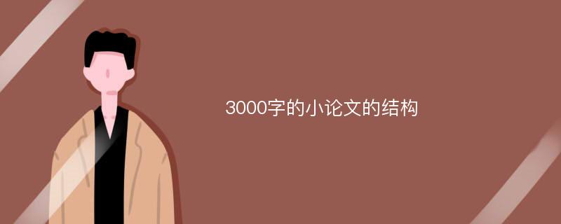 3000字的小论文的结构