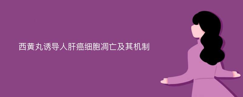 西黄丸诱导人肝癌细胞凋亡及其机制