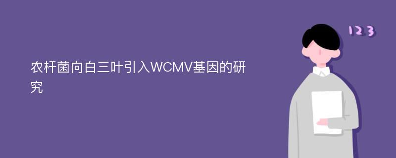 农杆菌向白三叶引入WCMV基因的研究