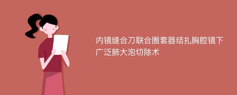 内镜缝合刀联合圈套器结扎胸腔镜下广泛肺大泡切除术