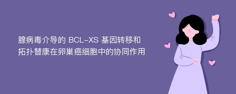 腺病毒介导的 BCL-XS 基因转移和拓扑替康在卵巢癌细胞中的协同作用