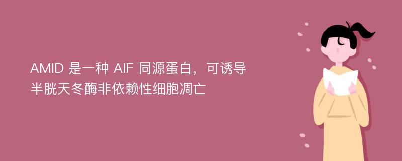 AMID 是一种 AIF 同源蛋白，可诱导半胱天冬酶非依赖性细胞凋亡