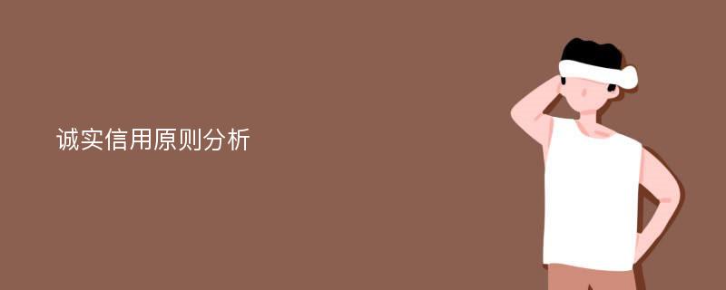 诚实信用原则分析