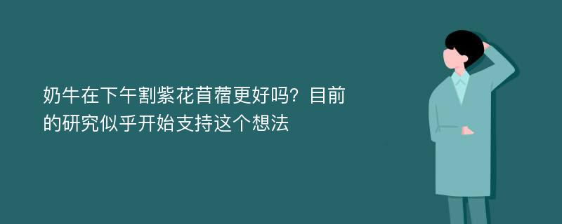 奶牛在下午割紫花苜蓿更好吗？目前的研究似乎开始支持这个想法