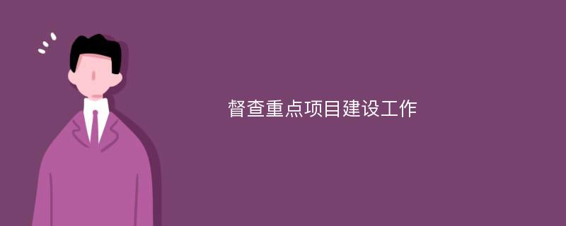 督查重点项目建设工作