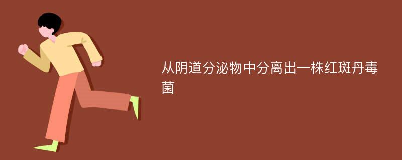 从阴道分泌物中分离出一株红斑丹毒菌